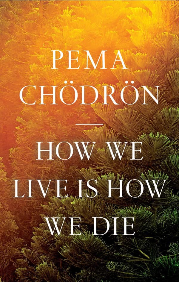 How We Live Is How We Die 9781611809244