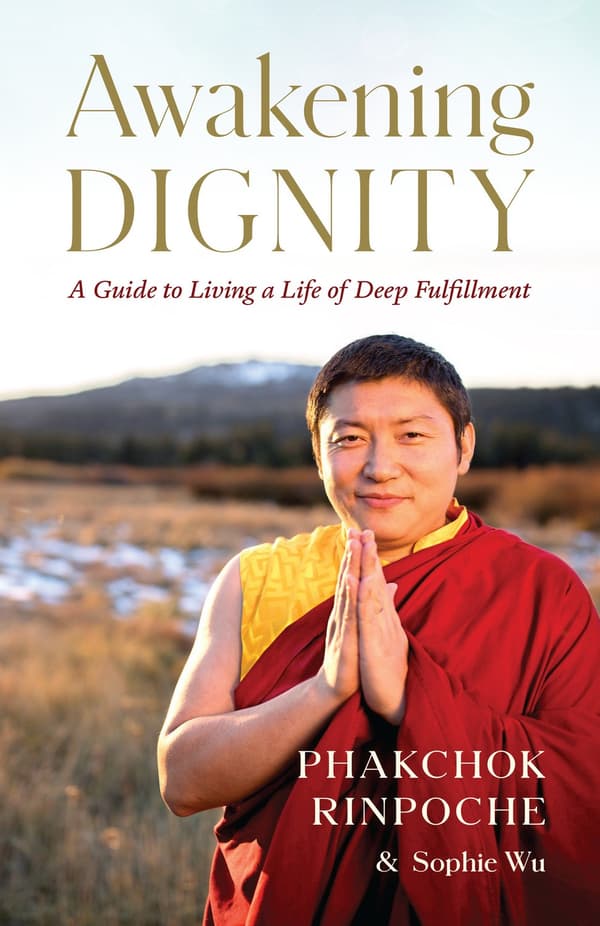 Awakening Dignity 9781645470885
