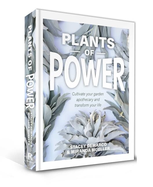 Plants Of Power 9781925924350