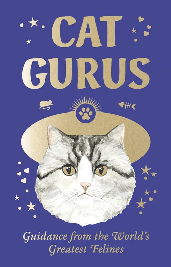 Cat Gurus: Mini 9781399620871