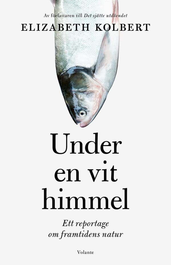 Under en vit himmel 9789179651442