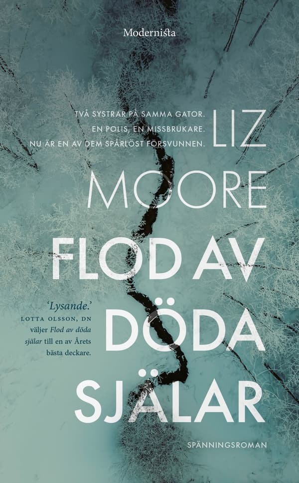 Flod av döda själar 9789180637213