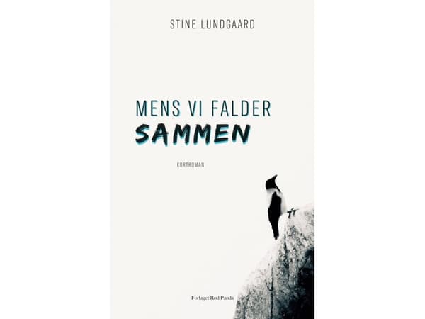Mens vi falder sammen | Stine Lundgaard | Språk: Danska