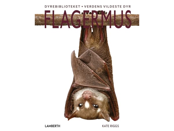 Flagermus | Kate Riggs