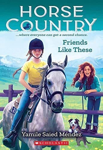 Friends Like These: 2 (Horse Country), Méndez, Yamile S Paperback Book Pre-Owned English