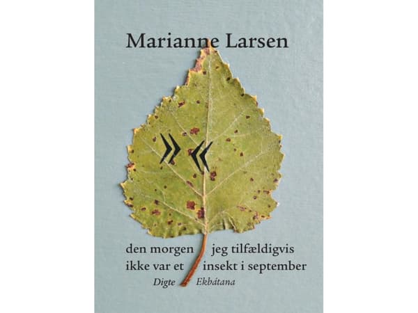 morgonen då jag inte råkade vara en insekt i september | Marianne Larsen | Språk: Danska