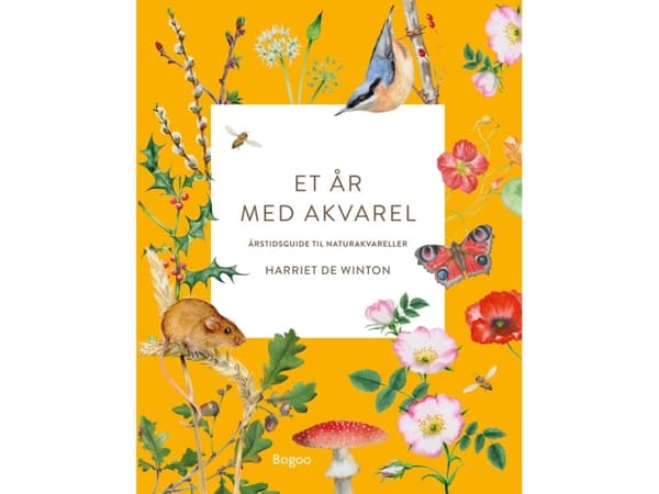 Et år med akvarel | Harriet de Winton