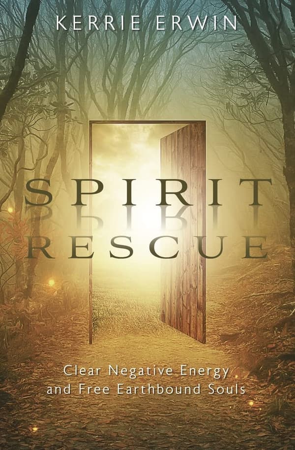 Spirit Rescue 9780738774329