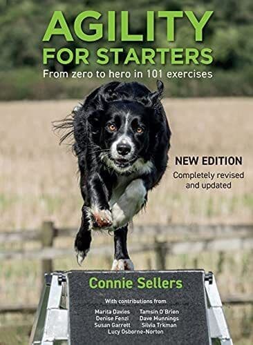 Agility For Starters: From zero to …, Sellers, Connie