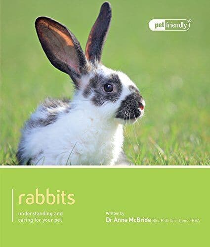 Rabbits - Pet Friendly: Understanding and Caring for Your Pet by Anne McBride