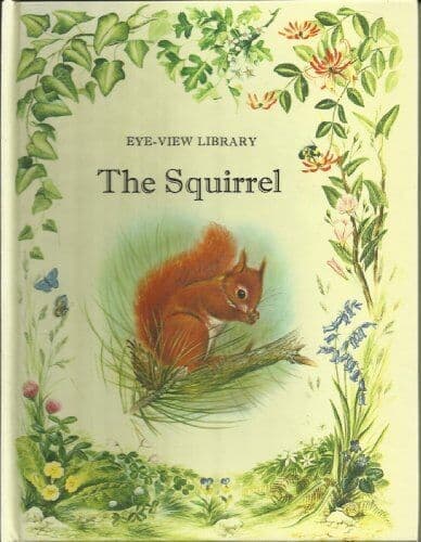 THE SQUIRREL by Angela   Sheehan