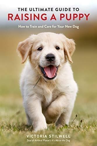 The Ultimate Guide to Raising a Puppy: How to Train and Care for Your New D