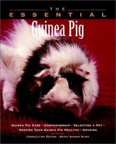 The Essential Guinea Pig (Essential Guide) (T… by Betsy Sikora Siino