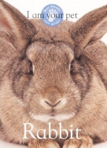I am Your Pet Rabbit, Matthew, Rayner