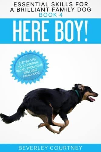 Here Boy!: Step-by-step to a Stunning Recall from your … by Courtney, Beverley