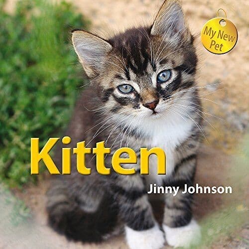 Kitten (My New Pet) by Johnson, Jinny