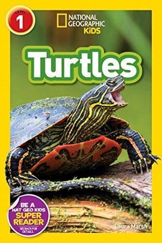 Turtles (National Geographic Readers: Level 1)