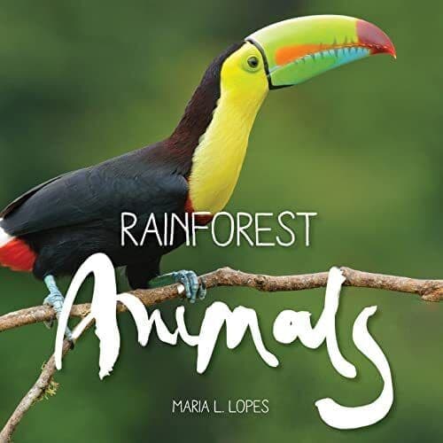 Rainforest Animals, Lopes, Mr Maria L