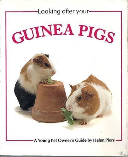 Looking After Your Guinea Pig (Looking…, Piers, Helen