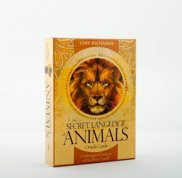 Secret Language Of Animals 9781922161086