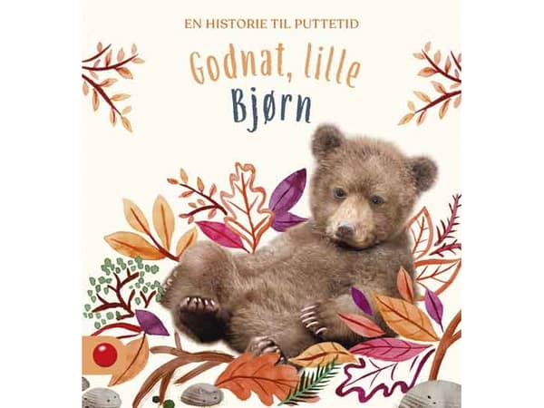 Godnat, lille Bjørn |
