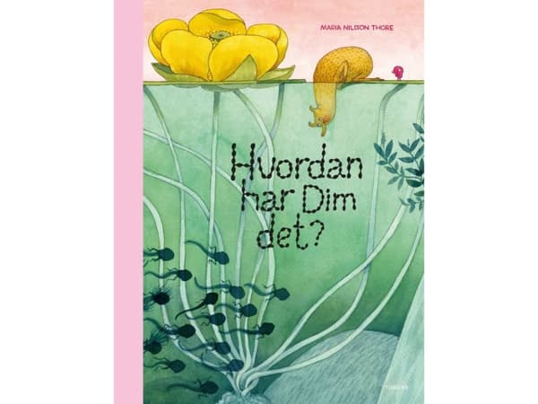 Hvordan har Dim det? | Maria Nilsson Thore