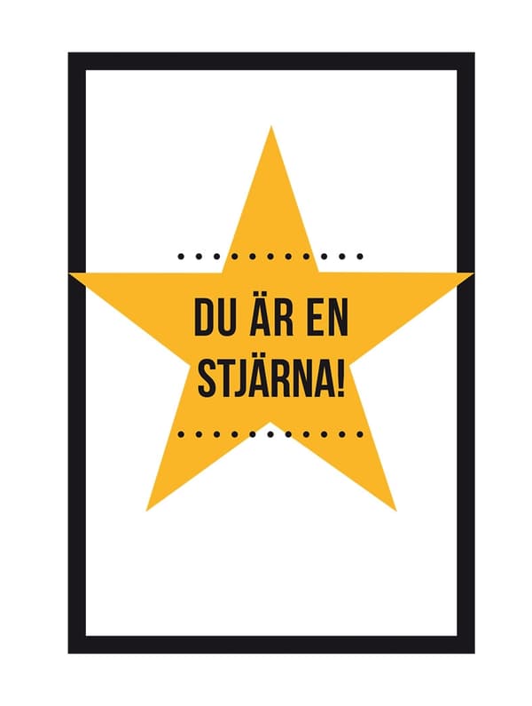 Du är en stjärna! 9789177836483