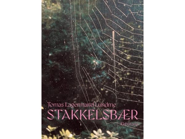 Stakkelsbær | Tomas Lagermand Lundme