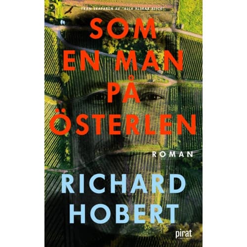 Som en man på Österlen (inbunden)