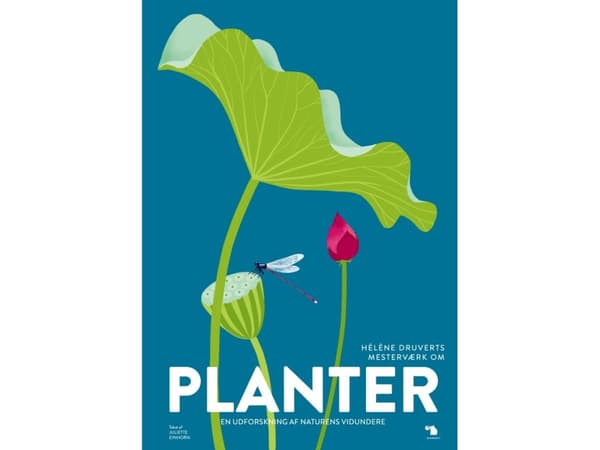 Planter | Hélène Druvert & Juliette Einhorn