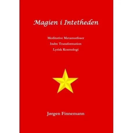 Ingentingets magi | Jørgen Finnemann | Språk: Danska