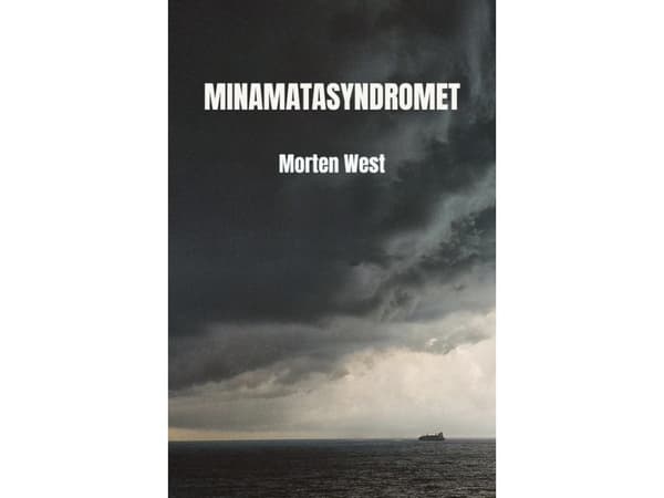 Minamatasyndromet | Morten West