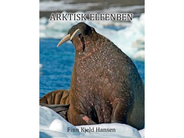 Arktisk Elfenben | Finn Kjeld Hansen