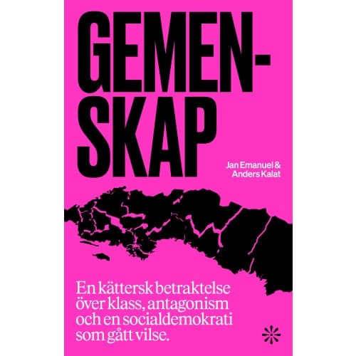 Gemenskap : en kättersk betraktelse över klass, antagonism och en socialdemokrati som gått vilse (bok, danskt band)