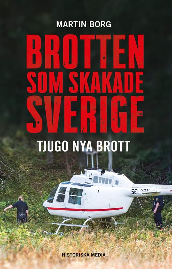 Brotten som skakade Sverige : tjugo nya brott