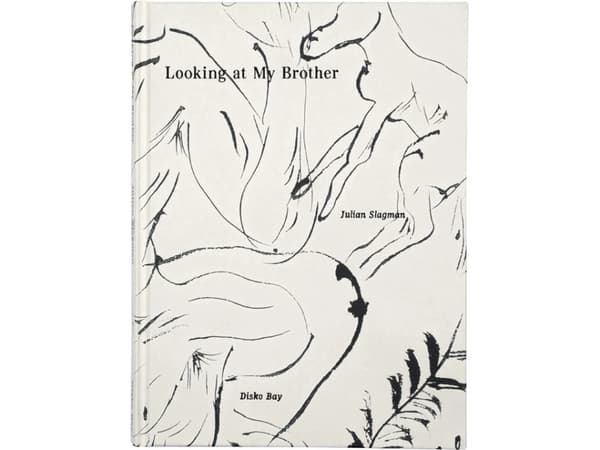 Looking at My Brother | Julian Slagman