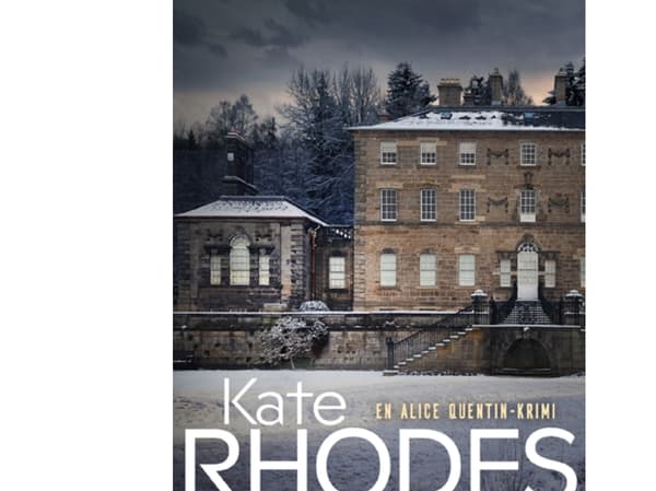 Vinterens hittebørn | Kate Rhodes