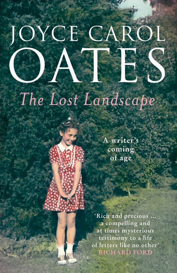 The Lost Landscape