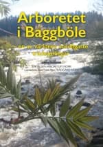 Arboretet i Baggböle : en av världens nordligaste trädsamlingar