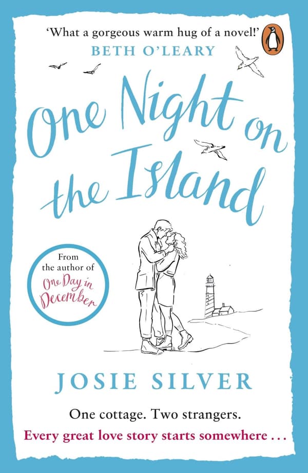 One Night on the Island: Escape to a remote island with this chemistry-filled love story