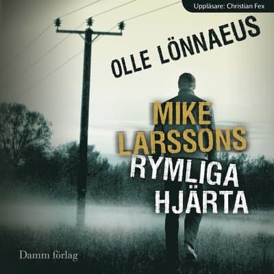 Mike Larssons rymliga hjärta