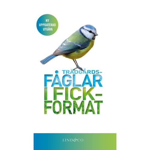 Trädgårdsfåglar i fickformat (inbunden)