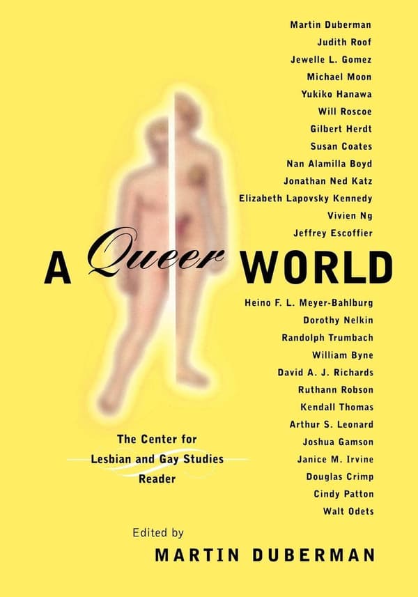 Queer Representations: Reading Lives, Reading Cultures (A Center for Lesbian and Gay Studies Book)