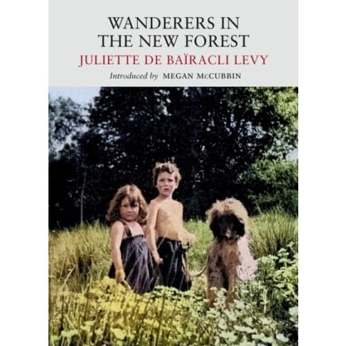 Wanderers in the New Forest (häftad, eng)