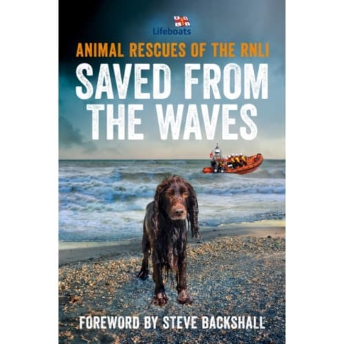 Saved from the Waves (häftad, eng)