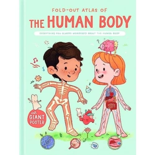The Human Body (Fold-Out Atlas of) (inbunden, eng)