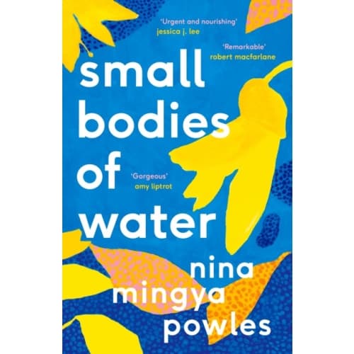 Small Bodies of Water (häftad, eng)
