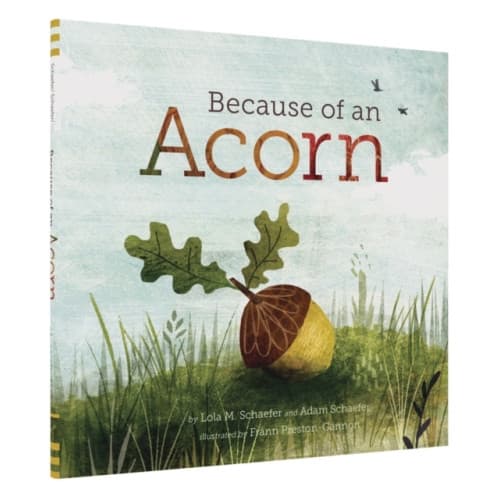 Because of an Acorn (inbunden, eng)