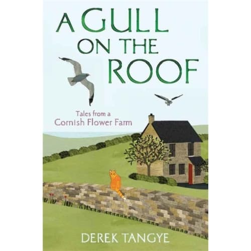 A Gull on the Roof (häftad, eng)