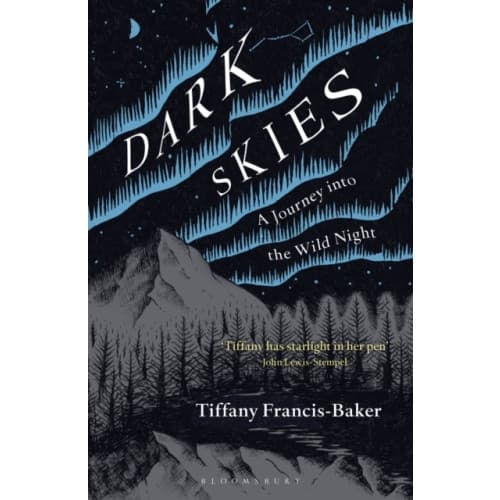 Dark Skies (häftad, eng)